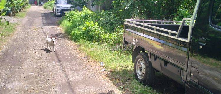 Tanah Bagus untuk Villa Kedampang 1