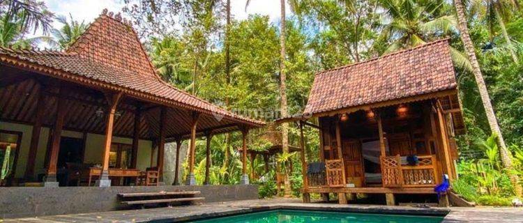 Villa joglo modern Taman luas dekat Ubud Bali 1