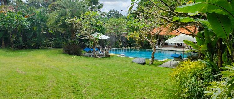 Villa luxury view sawah furnished di Pererenan Canggu Bali 1