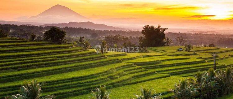 Villa murah view sawah dan gunung di Jatiluwih Tabanan Bali 1
