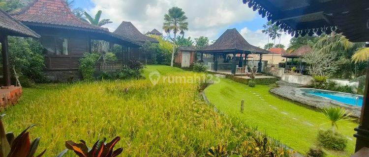 Villa joglo view sawah Abadi di sebatu Tegalalang Ubud bali 1