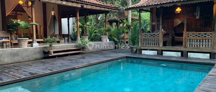 Villa joglo modern termurah view jungle di Bali 1