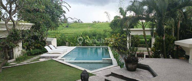 Furnished rice field view villa in Canggu Bali 1