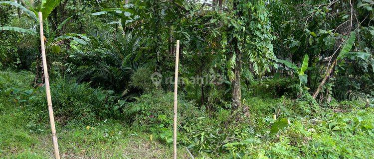 Dijual Tanah Cigeulis, Banten 6919 m2 Lokasi Strategis 1