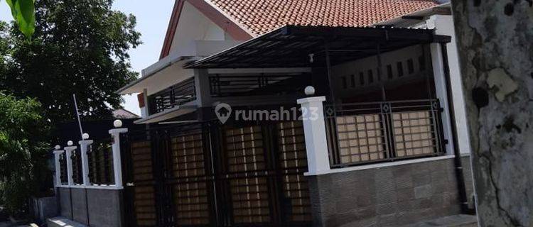 Rumah Bagus Siap Huni Jalan Sadewa Dkt Kampus Udinus  1