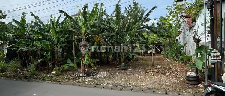 Prime Land Ready to Build, East Gondang, Near Undip Tembalang Campus, South Semarang. 1