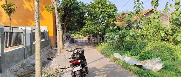 Tanah Bgs Siap Bangun Jalan Gerung Sari Bulusan Tembalang Dkt Kampus Undip 1