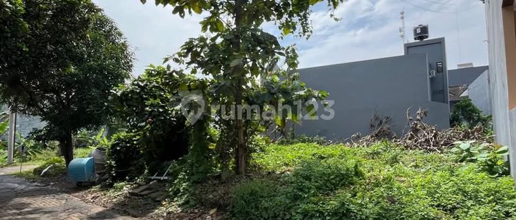 Strategic Land Ready to Build, North Bulusan Road Near UNDIP Campus Tembalang. 1