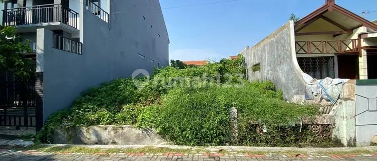 Tanah Strategis Siap Bangun Jalan Kelinci Pandean Lamper Gayamsari Kota Semarang 1