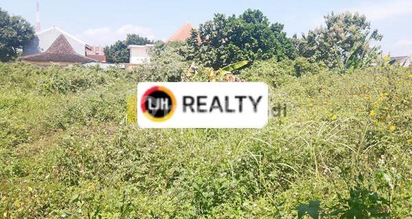 Lot in Prambanan Temple 1