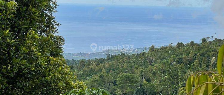 Tanah View Pantai Lovina, Buleleng 1