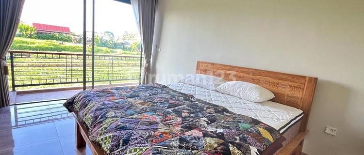 New House with Rice Field View in Gianyar 1