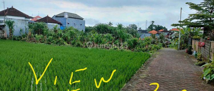 Tanah Cocok untuk Hunian di Buduk, Denpasar 1