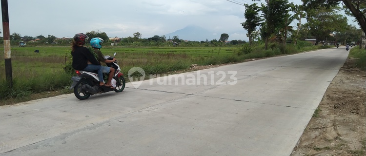 Tanah Sawah Bisa Dikeringkan tepi jalan raya  1