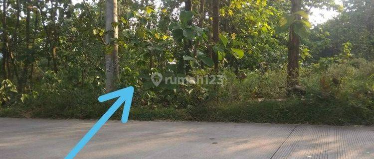 Tanah Murah 7.215 M2 Pinggir Jalan Dpu Sragen 1