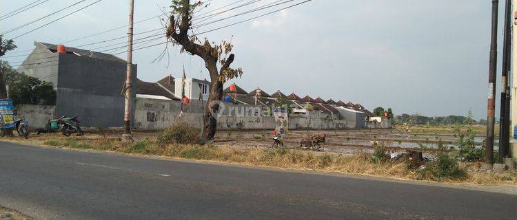 Tanah Murah Lahan Kuning Lokasi Strategis  1