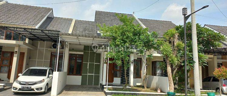 Rumah Murah Asri di Lingkungan Cluster Elite  1