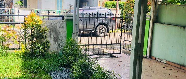 Bsd Rumah Tua Hitung Tanah Di Bsd Kencana Loka 1