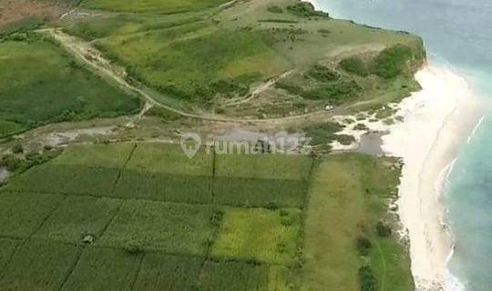 Tanah Pantai Lombok Timur, Nusa Tenggara Barat 1