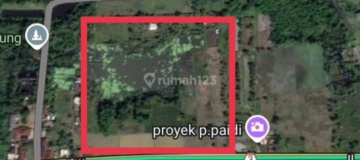 DIJUAL TANAH PREMIUM DI JL RAYA PANIMBANG BANTEN JABAR MURAH BISA NEGO 1