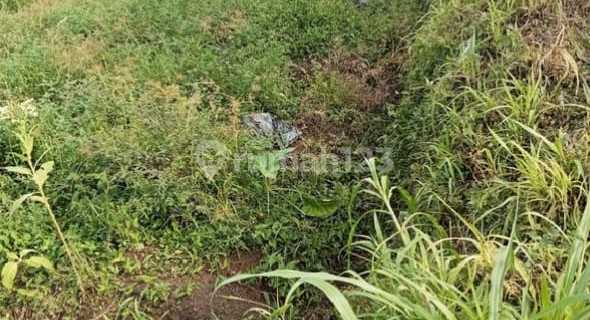 DIJUAL TANAH DI DESA GUMUK REJO BOYOLALI MURAH BISA NEGO 1