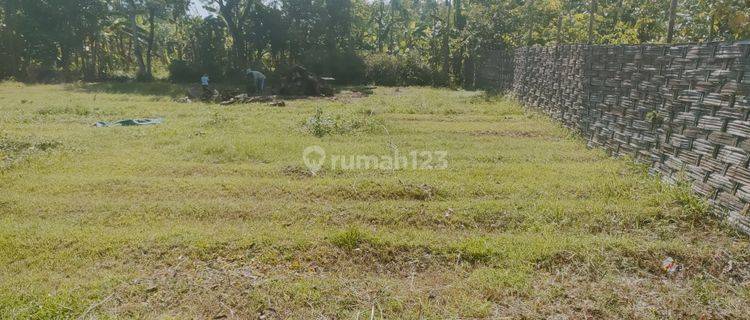 DIJUAL TANAH PEKARANGAN DEKAT KAMPUS DI DESA PLOSOKANDANG TULUNGAGUNG 1