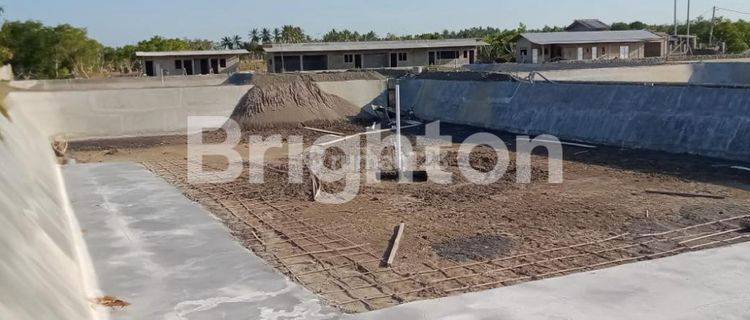 TAMBAK UDANG DI PANTAI CEMARA KAWANG BANYUWANGI MURAAH 1