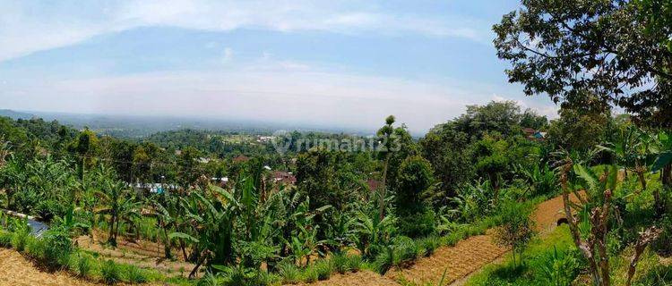 Tanah di Baturiti, Tabanan, Tabanan 7.250 m² 1
