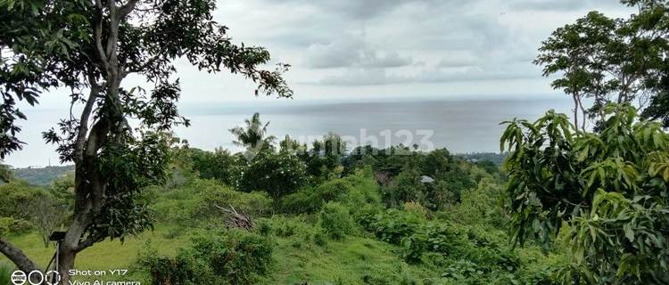 Lahan 28 Are Cempaga Dekat Pantai Lovina Dan Krisna Waterpark Singaraja 1