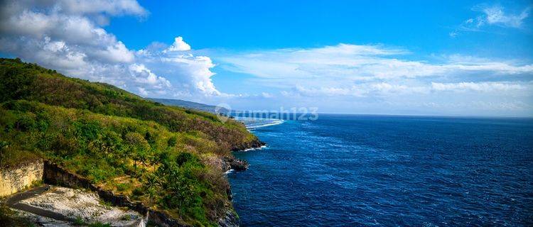 Kavling Nusa Penida Karang Los Tebing 1725 M2 1