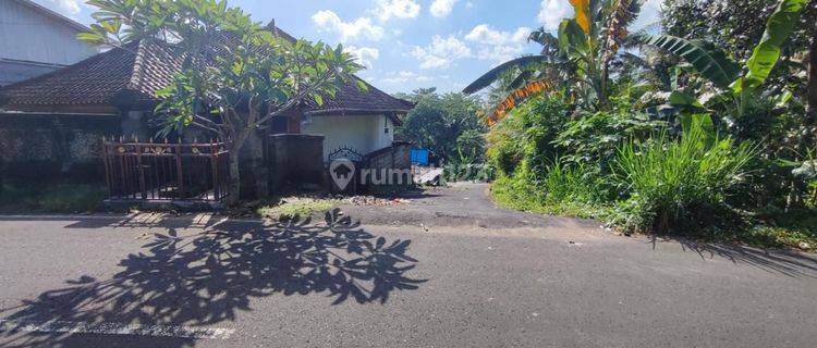 Tanah SHM 240 m2 Werdibhuana, Mengwi, Badung 1