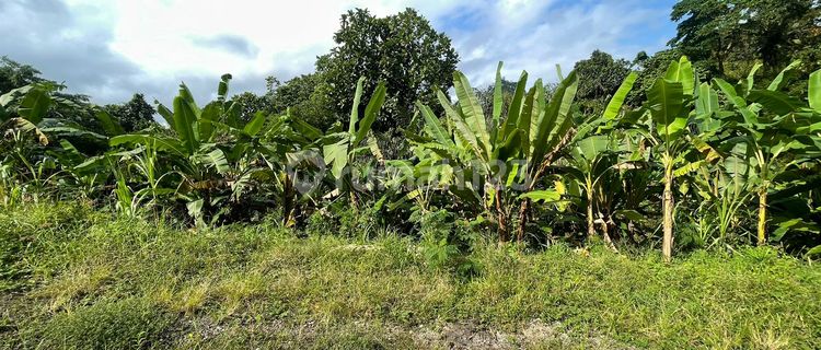 TURUN HARGA - JUAL CEPAT KAVLING SIAP BANGUN TABANAN 1