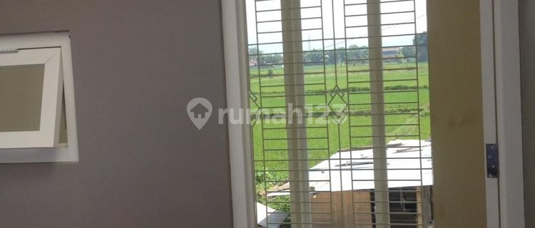 Rumah Kontrakan 4 Kamar Tidur di Waing Lowokwaru Kota Malang 1