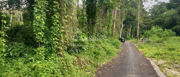 For Lease Vacant Land In Tegallalang Ubud Bali 1