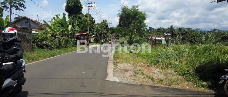 TANAH SIAP BANGUN HARGA NEGO PINGGIR JALAN UTAMA  LEUWINANGGUNG SUKABUMI 1