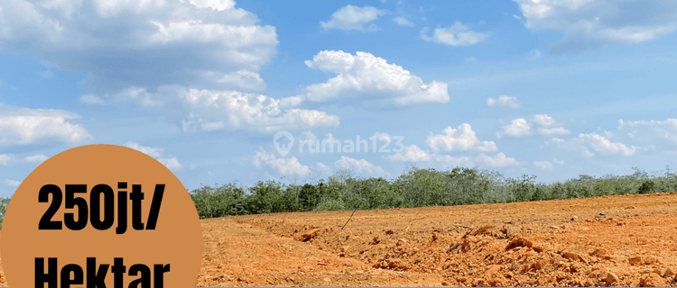 Dijual Tanah Kapling Talang Belido 1