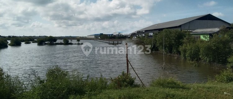Tanah Pertanian Luas 39.378m² Tembak Zona Industri Di Kendal 1
