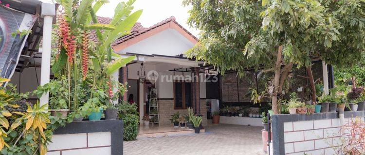 Rumah Asri Furnish Plus Toko Sembako Giriwoyo Wonogiri  1