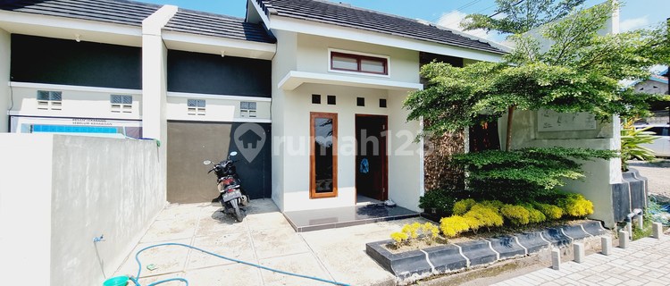 Beautiful House Ready Unit Fresh Cheap Cluster 1