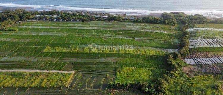 Exclusive Land Plots For Sale, Tabanan 1