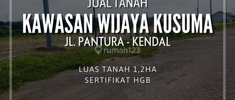 Tanah di Kawasan Industri Wijaya Kusuma Pantura Kendal Semarang  1