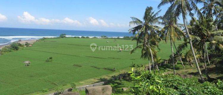 Freehold Ocean And River Views Land In Pulukan Jembrana 67,9 Are 1