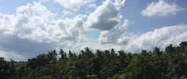 Freehold Land In Bongan Tabanan 5300 M2  1