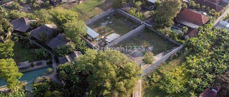 Leasehold Two Plots Of Land In Kerobokan  1