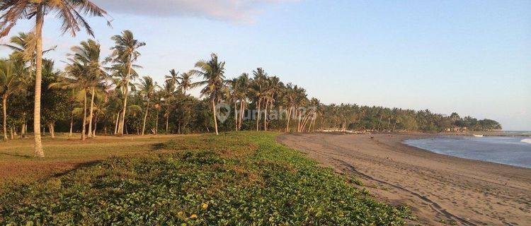 FREEHOLD INVESTMENT OPPORTUNITY 7.23HA LAND IN MEDEWI 1