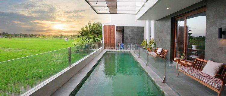 Freehold Villa 8 BED Room In Kunti Seminyak 1