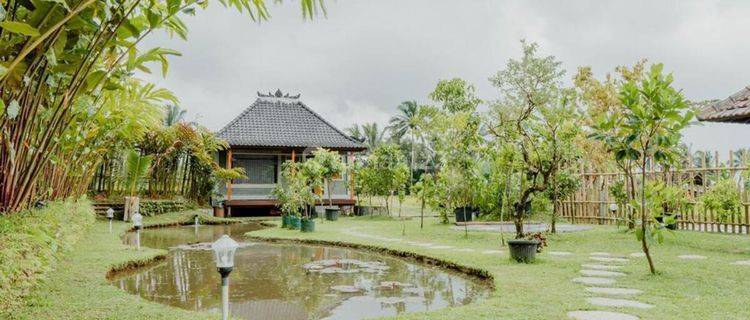 Freehold Villa With Riverfront Mountain Views Near Jatiluwih 1