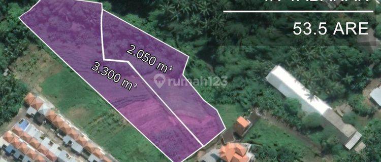 FREEHOLD LAND IN BONGAN, TABANAN ( 5,300 M2) WITH PRIVATE ROAD ACCESS 1