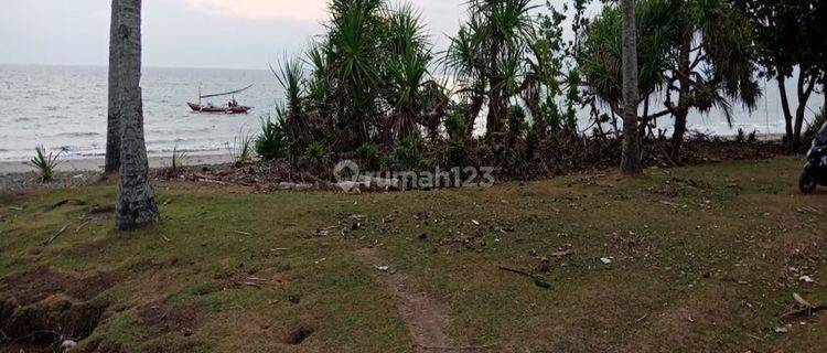 Freehold Beachfront Land In Melaya Jembrana Country 1