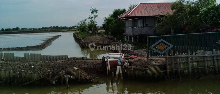 Dijual Tambak Dan Villa di Bungin Tanjungpakis Karawang 1